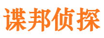 恩平市调查公司